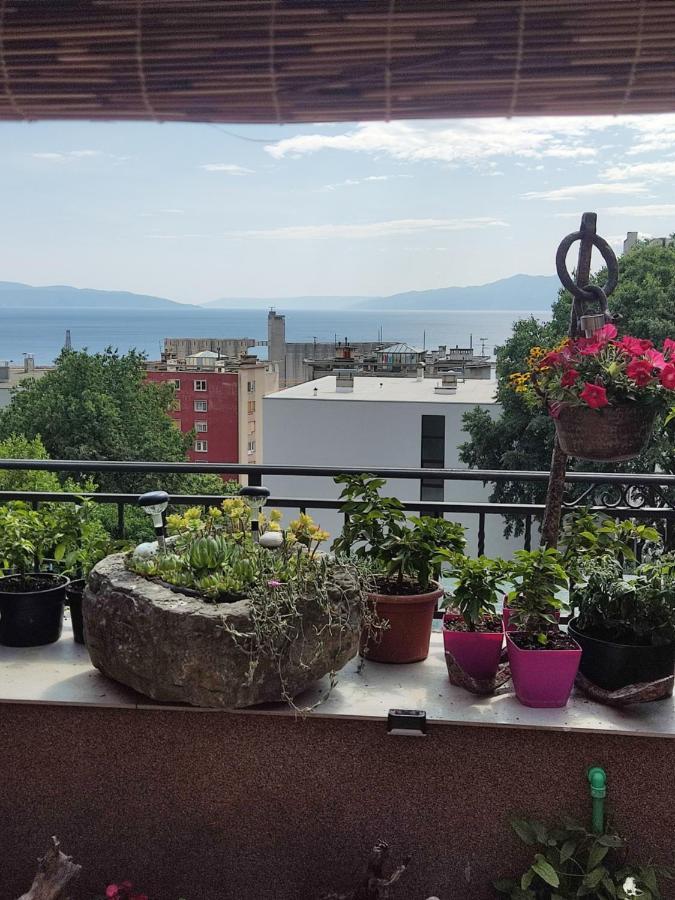 Апартаменти Apartman Bella Vista Рієка Екстер'єр фото